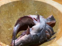 -云海肴云南菜·蒸汽石锅鱼(北京良乡华冠店)