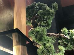 -锅物新语&寿喜烧.炉端割烹(世博源店)