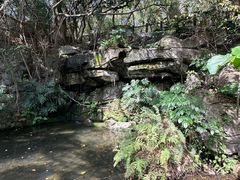 -燕晗山郊野公园