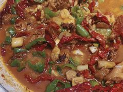 -俭寨大盘鸡·缸子肉·小公鸡·新疆菜(云通店)