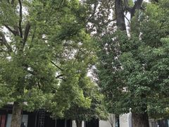 -雅达·阳羡溪山小镇中心