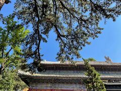 -潭柘寺景区