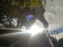 -晋江五店市传统文化旅游区