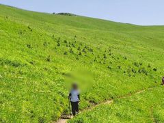 -灵山
