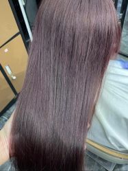 -藤野造型烫染