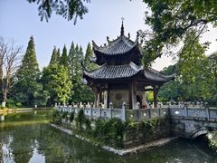 -习家池
