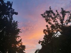 -新虹桥中心花园