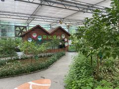 -南宫五洲植物乐园