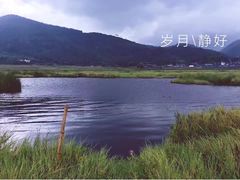 -腾冲北海湿地