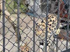 -大连森林动物园