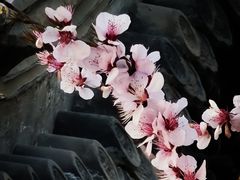 -三里河公园
