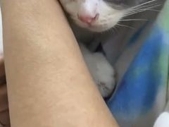 -宠颐生中康贝怡动物医院