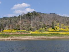 -新安江山水画廊风景区
