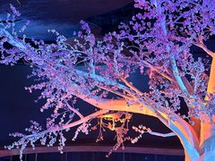 -江宁织造博物馆