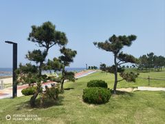 -老谢野馄饨(延安路店)