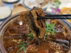 -丁老爷子苏香圆