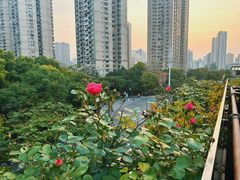 -瑞虹新天地月亮湾
