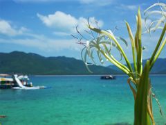 -海南分界洲岛旅游区