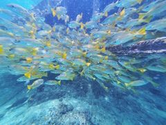 -卡帕莱度假村(西巴丹岛)