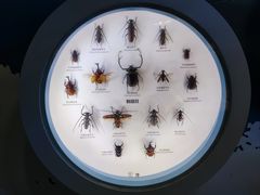 -舟山博物馆