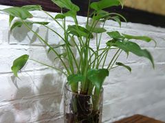 -卡漫莫尼蛋糕(私人定制店)