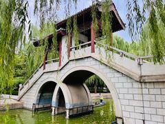 -团结湖公园