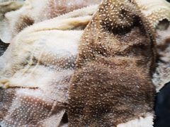 -铜元老码头鳝鱼火锅