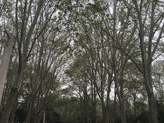 -河南省黄河迎宾馆