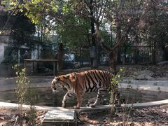 -成都动物园