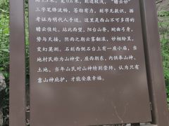 -阳台山自然风景区