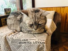 -隅cafe(傅厚岗店)