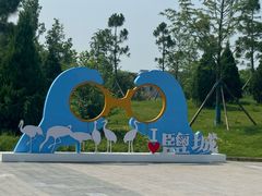-盐城丹顶鹤湿地生态旅游区