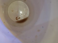 -阪尚皇·原切牛排·烤肉火锅自助(北京路店)