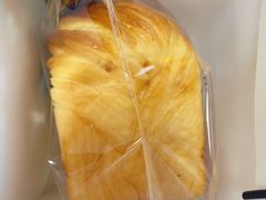 -BLACKSWAN黑天鹅(环球店)
