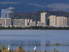 -洱海月湿地公园