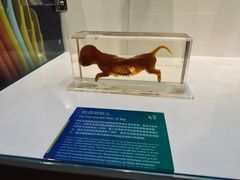 -生命奥秘博物馆