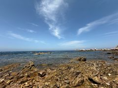 -养马岛旅游度假区