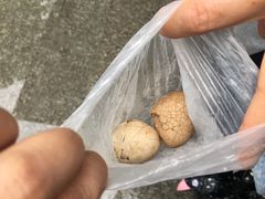 -金盆阿嬷香菇茶叶蛋(玄光店)