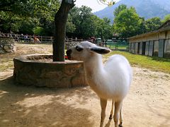 -西安秦岭野生动物园