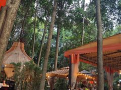 -二荆条·蜀鲜汇城市森林火锅