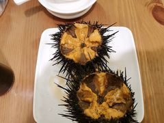 -海胆小馆(东北水饺·春柳店)