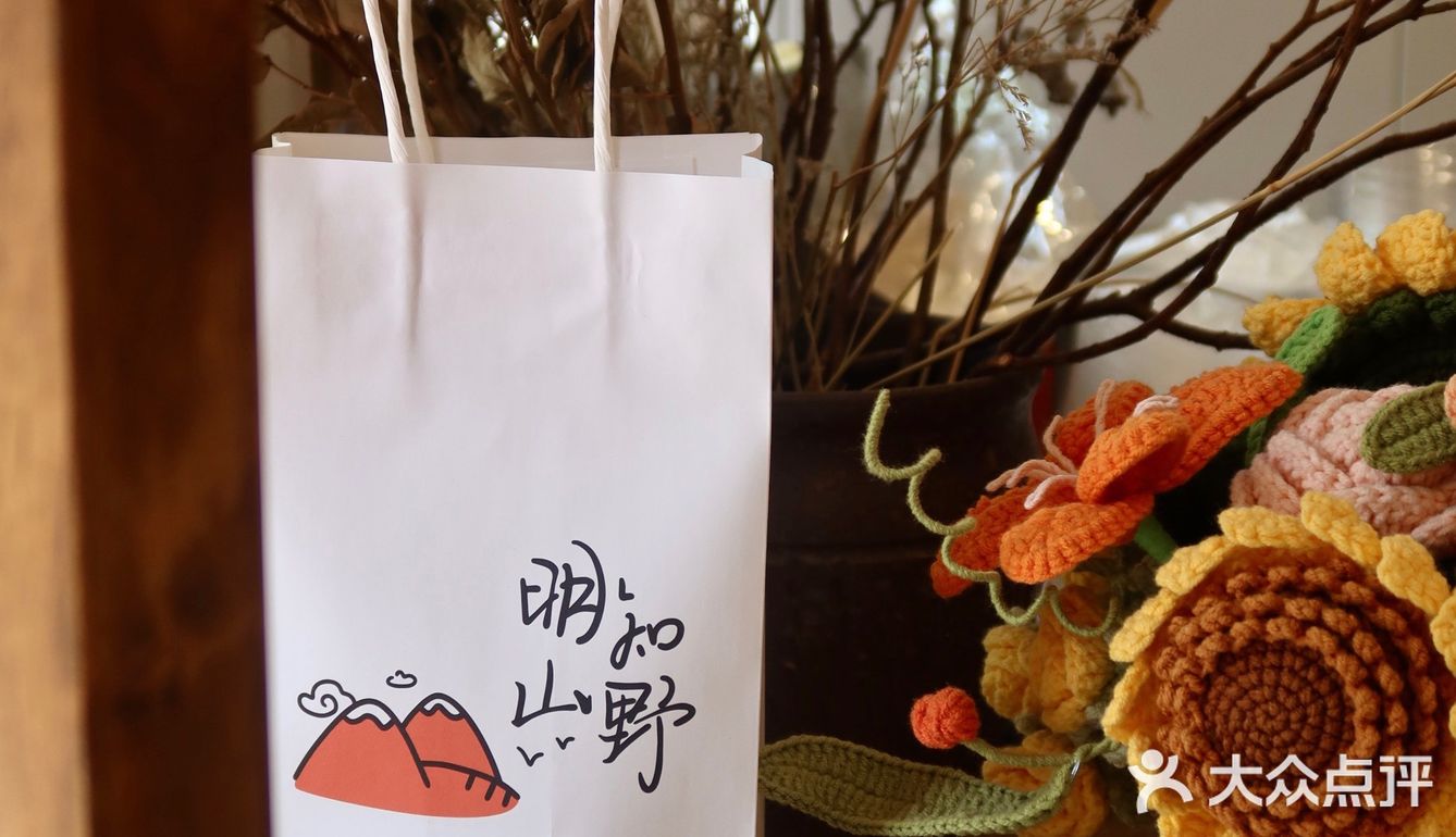 咖啡馆的无尽夏|杨柳依依 夏日如期🌳