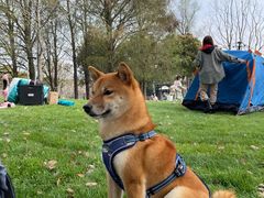 -龙美术馆西岸馆-停车场