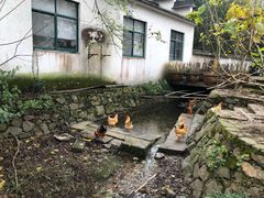 -长兴八都岕景区