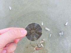 -侨港海滩