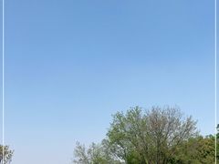 -盘龙城国家考古遗址公园