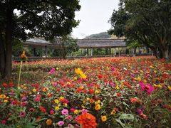 -乌石塘景区