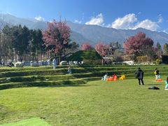 -云禾壹海景庄园餐厅