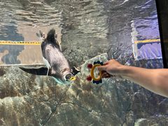 -成都浩海立方海洋公园