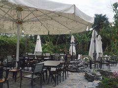 -花溪雨·森林餐厅(石基店)